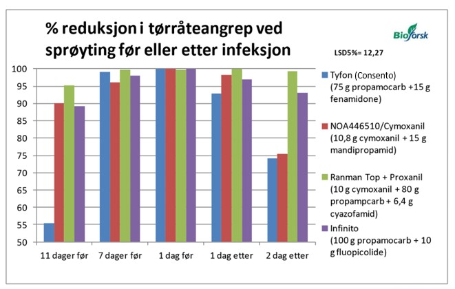 forsøk tørråte 2012 infinito